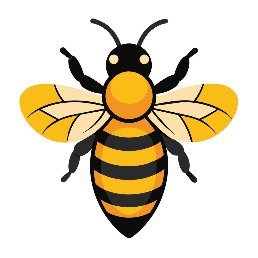 A cartoon bee with yellow and black stripes is shown in a simple, flat illustration style. It is facing the viewer with its wings spread out. vector