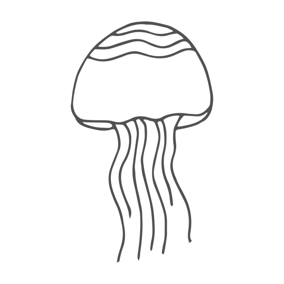 Illustration of line jellyfish. Hand drawn element. vector