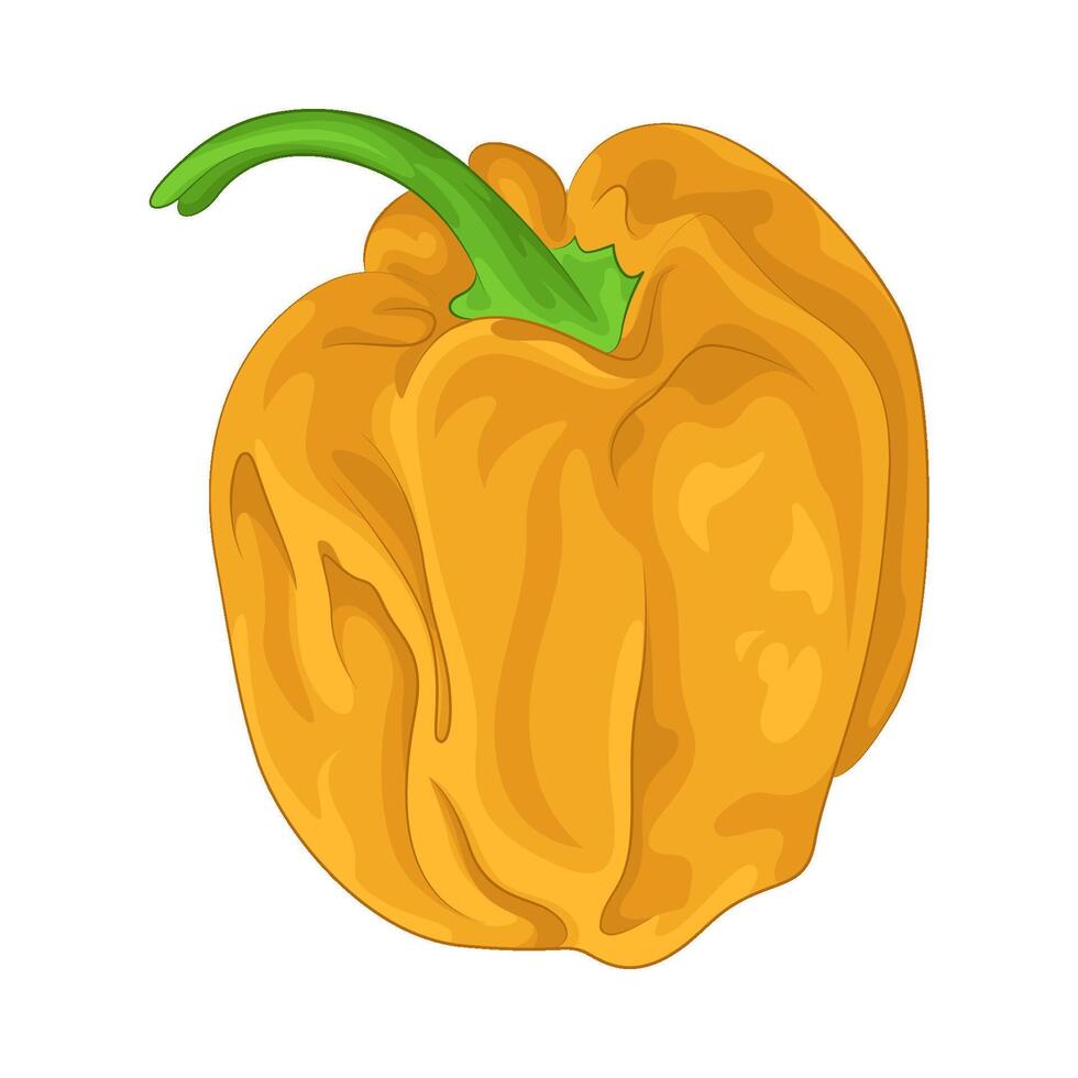 Illustration of bell pepper vector