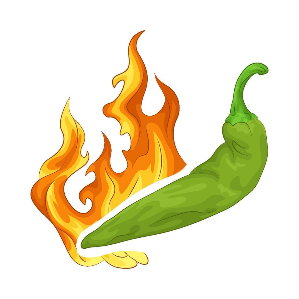 Illustration of green chili pepper vector