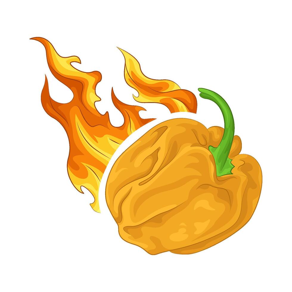 Illustration of bell pepper vector