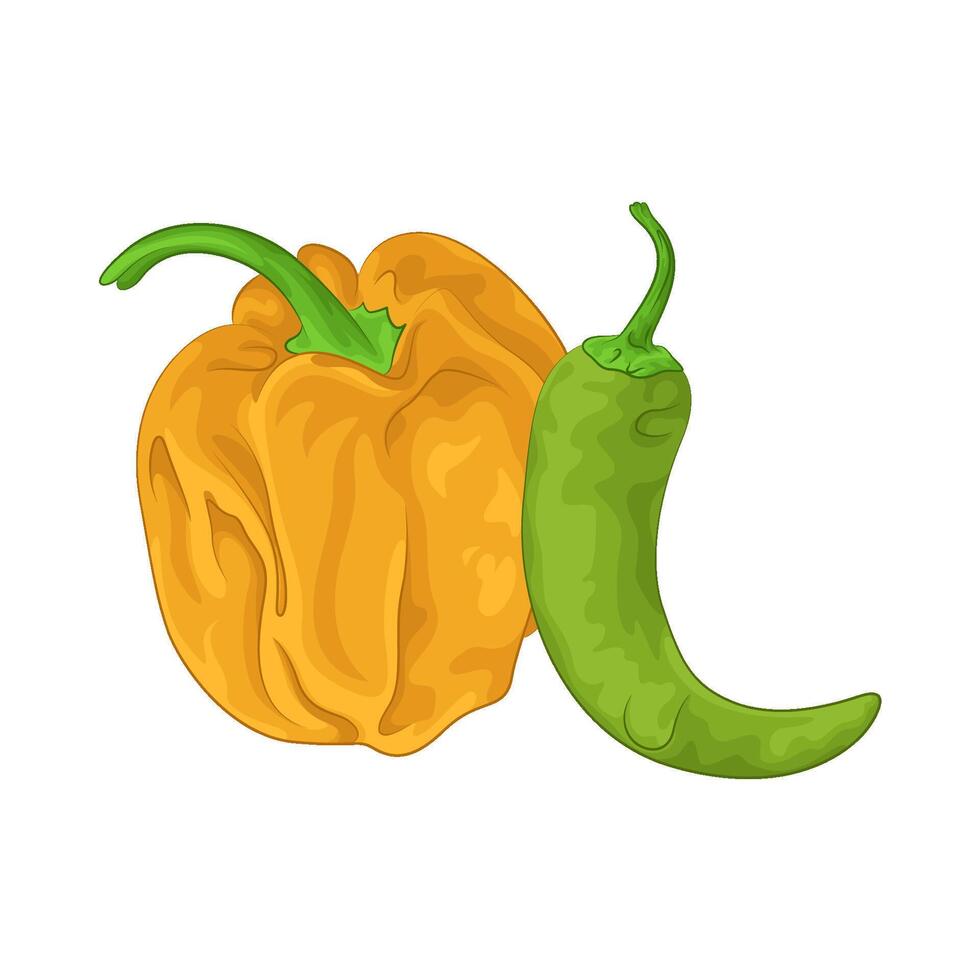 Illustration of chili vector
