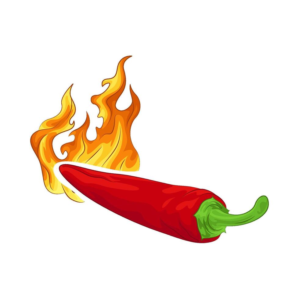 Illustration of red chili vector