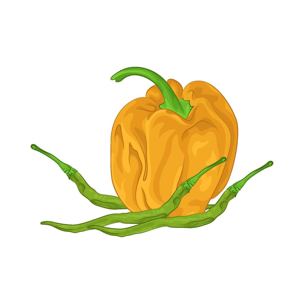 Illustration of chili vector