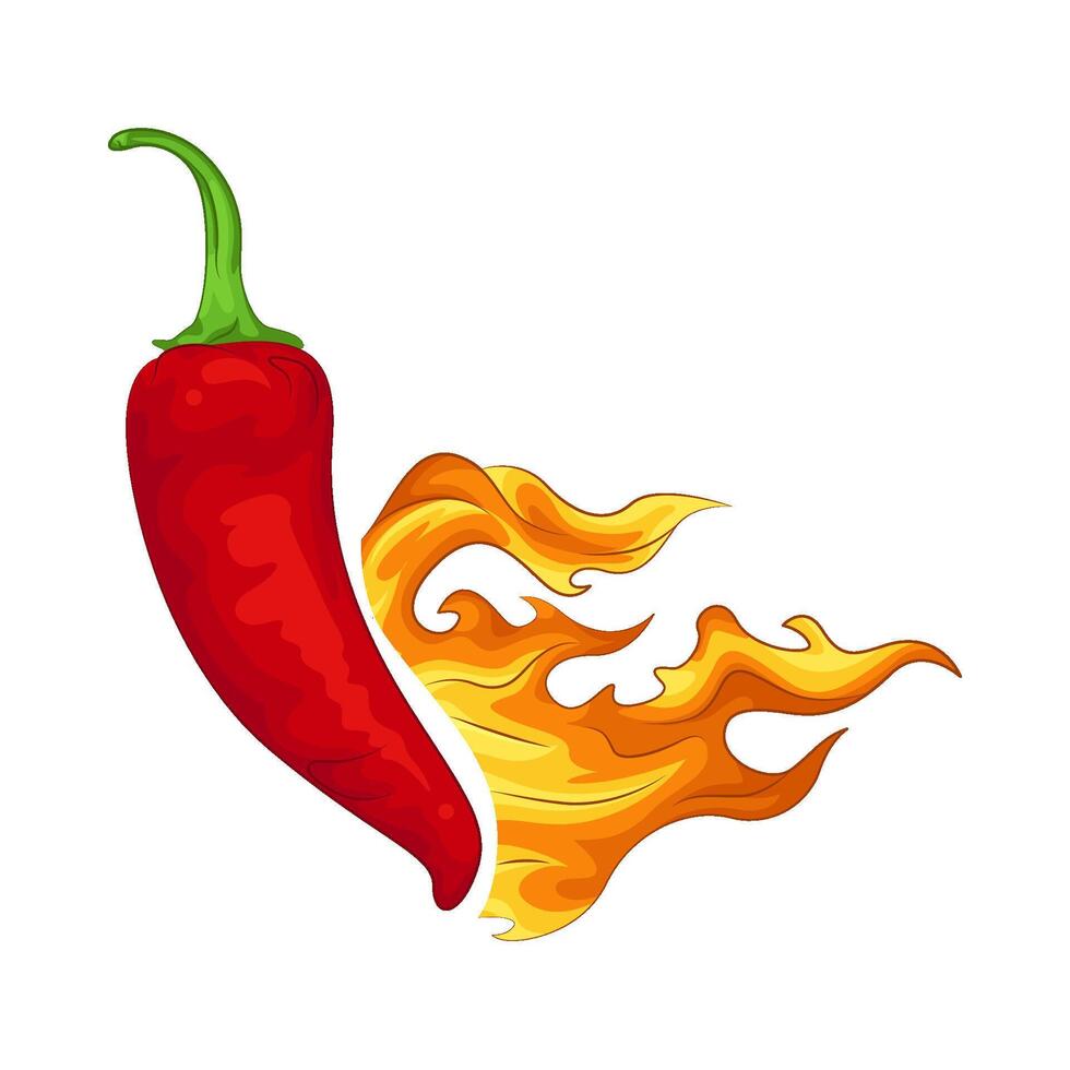 Illustration of red chili vector