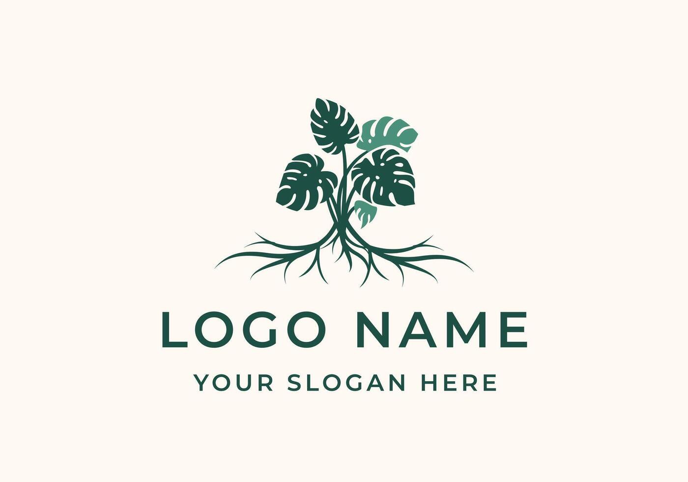 logo monstera leaves and roots. Logo botanical, floral and home plants. Editable file vector