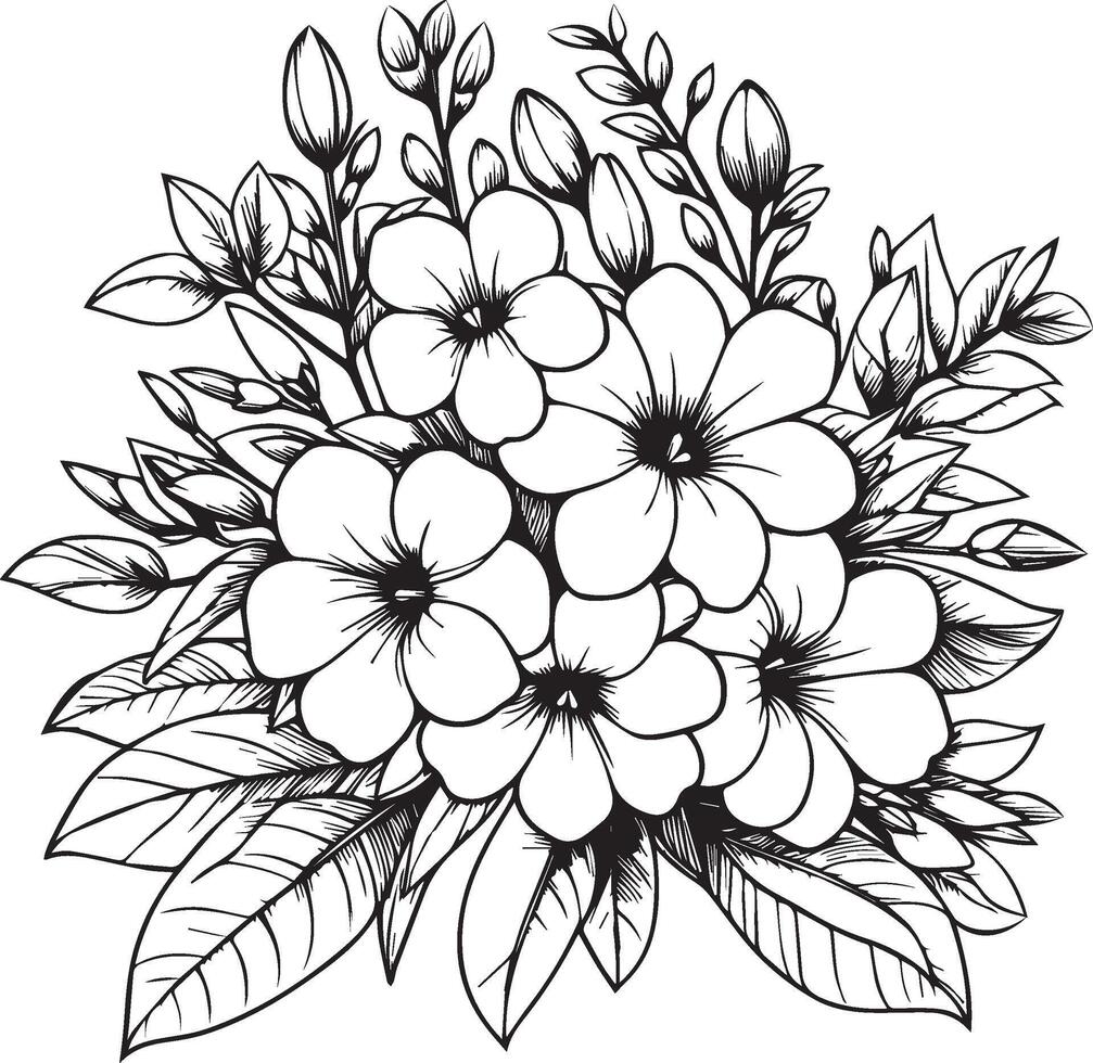 Black and white sketch illustration of floral ornament bouquet of Allamanda cathartica simplicity, Embellishment, zentangle design element for card printing coloring pages, detailed flower art vector