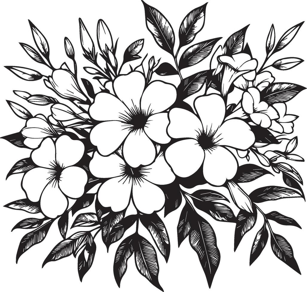 Allamanda cathartica flower illustration isolated on white, engraved ink art floral coloring pages, books for print, pretty flower coloring pages, Cute flower coloring pages vector