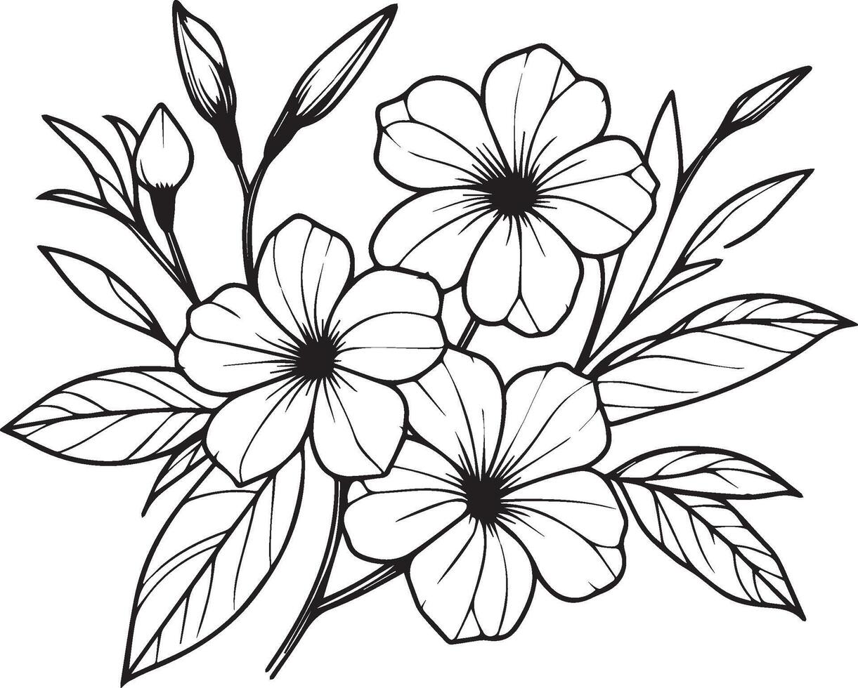 Allamanda cathartica pencil art, Black and white outline coloring page and book for adults and children flower Allamanda, with leaves hand drawn engraved ink illustration artistic design vector