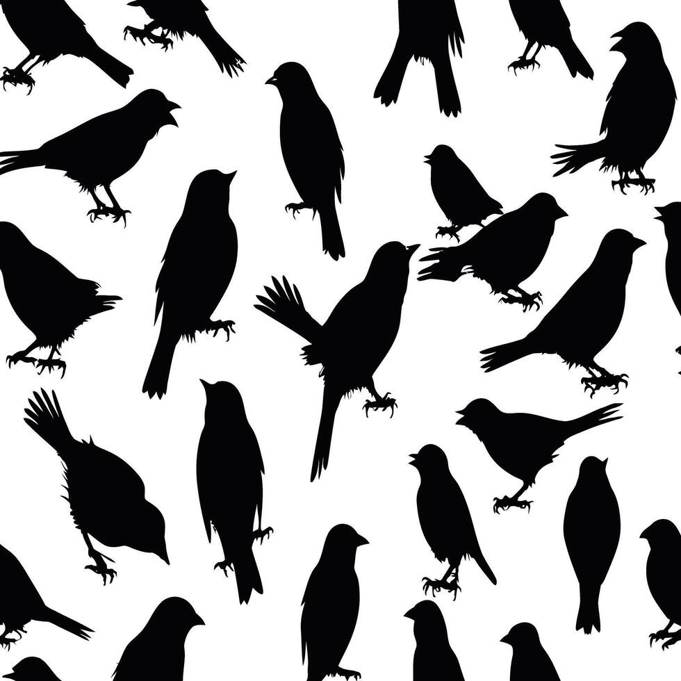 Black Color Silhouette of sparrow, Silhouette , Solid White Background vector
