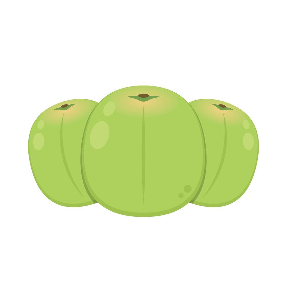 Plum cartoon . Plum on white background. vector