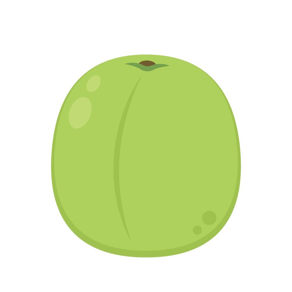 Plum cartoon . Plum on white background. vector