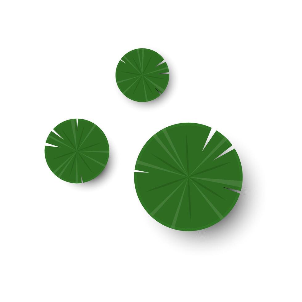 Lily pad icon. Lily cartoon on white background. vector