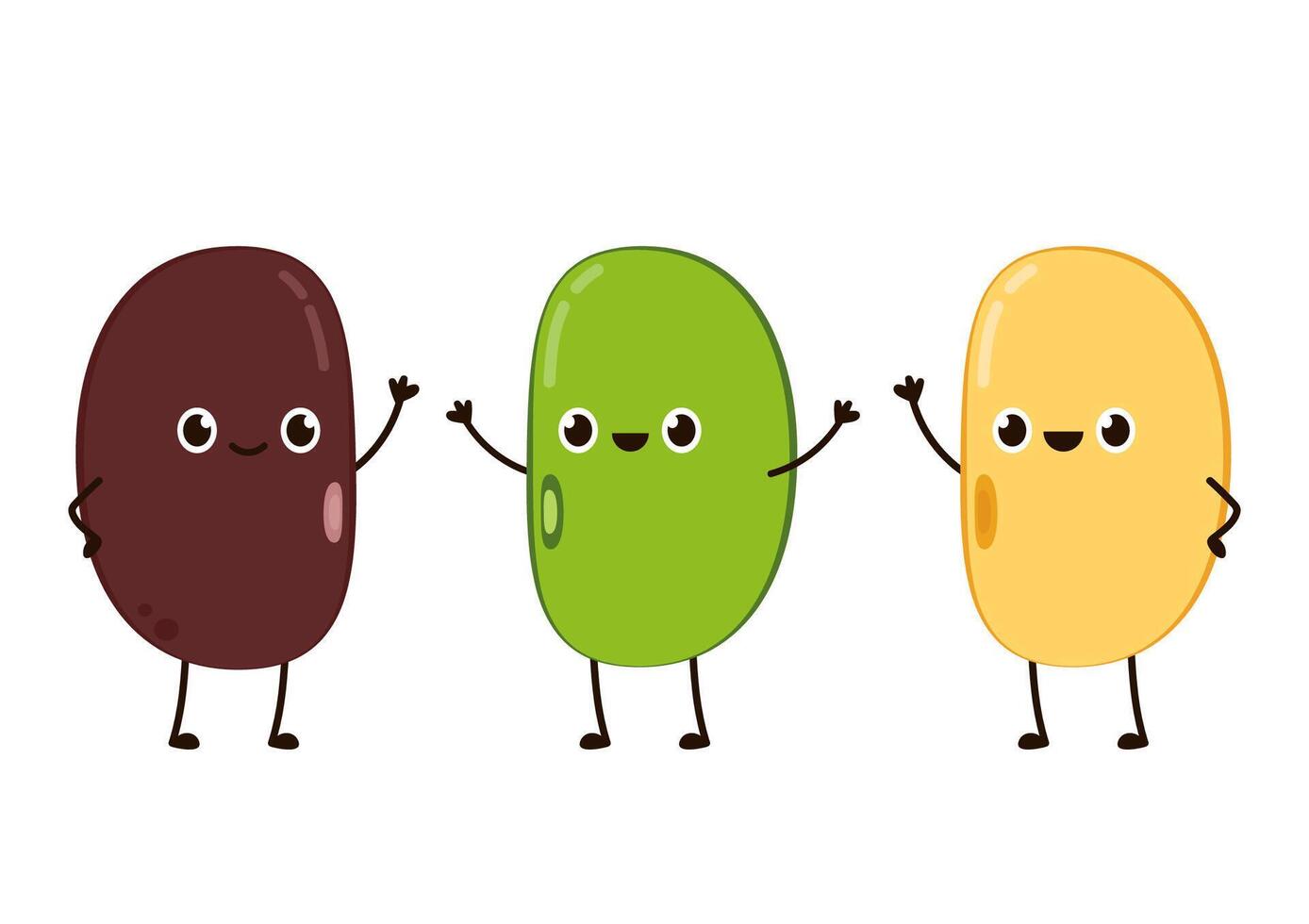 Mung bean, Kidney bean and Soy bean on white background. vector