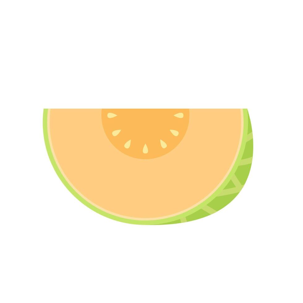 Melon logo . melon on white background. Half melon. vector