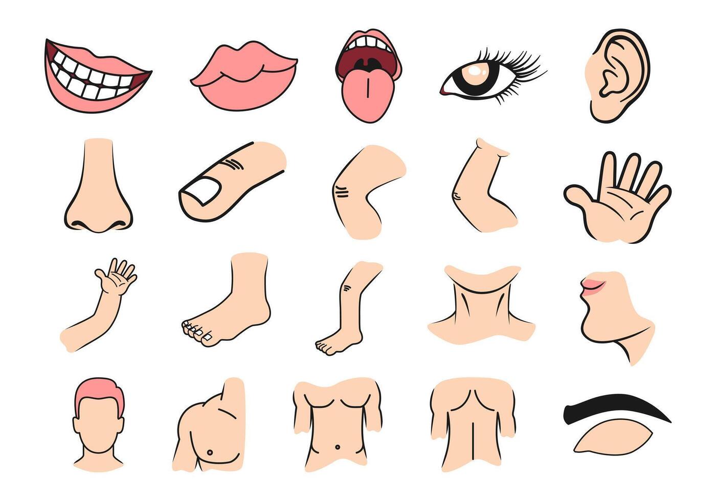 Body Parts Illustration Element Set vector