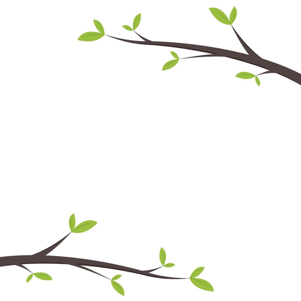 Green leaves frame. illustration of tree branch with green leaves on white background. vector