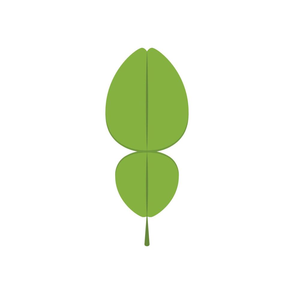 Bergamot leaf. Bergamot leaf logo design. symbol. sign. vector
