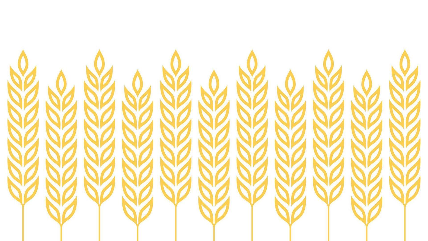 Wheat pattern wallpaper. oat symbol. free space for text. rice sign. Rice pattern wallpaper. vector