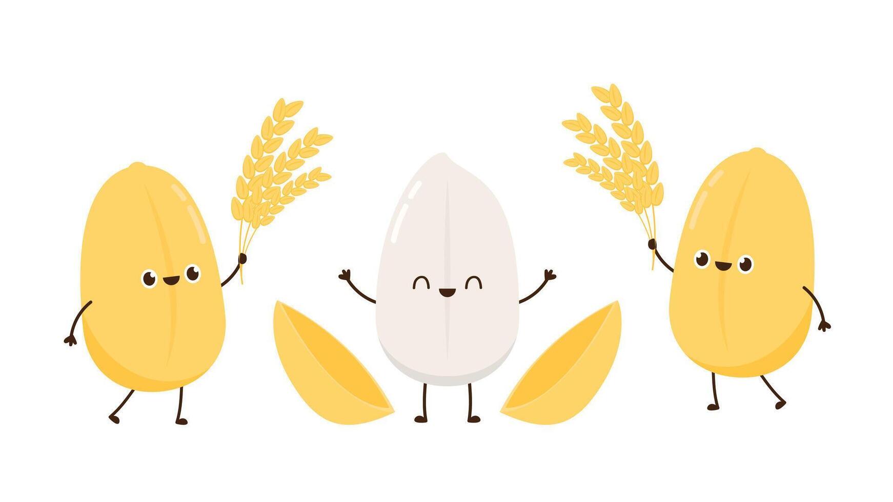 Paddy character design. rice on white background. rice seed. vector