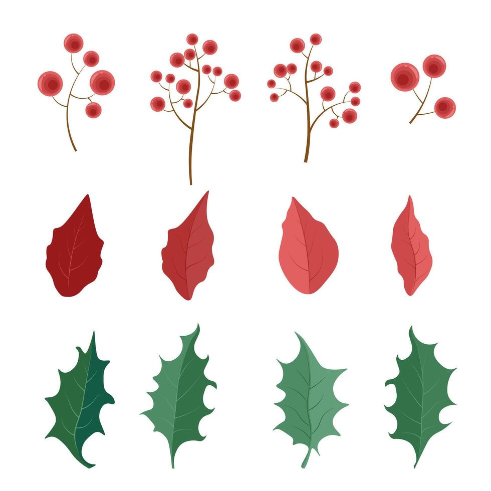 set of poinsettia leaves and flowers with red berries on a branch vector