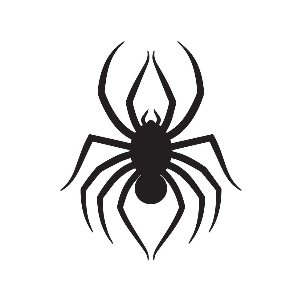 Spider silhouette - Spider insect illustration in black and white vector