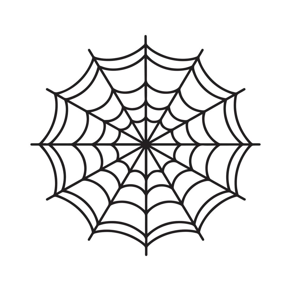 Spider web line - Spider insect illustration in black and white vector