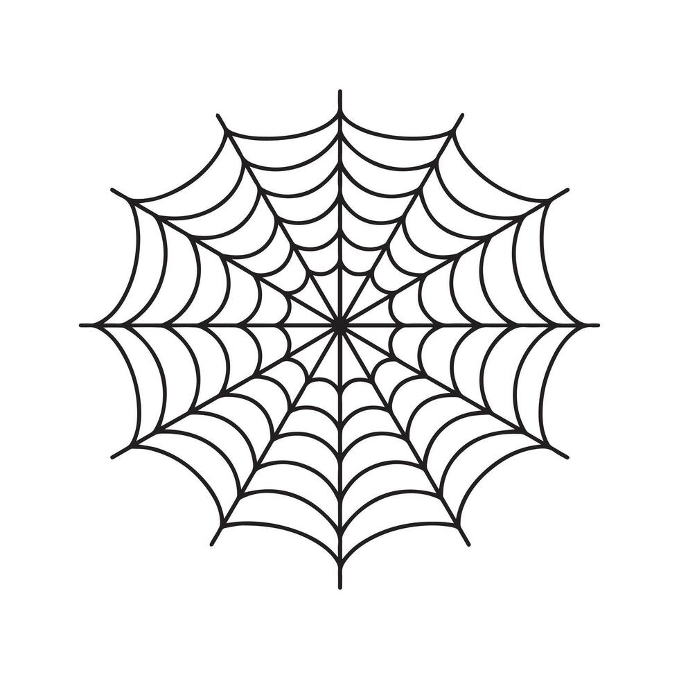 Spider web line - Spider insect illustration in black and white vector