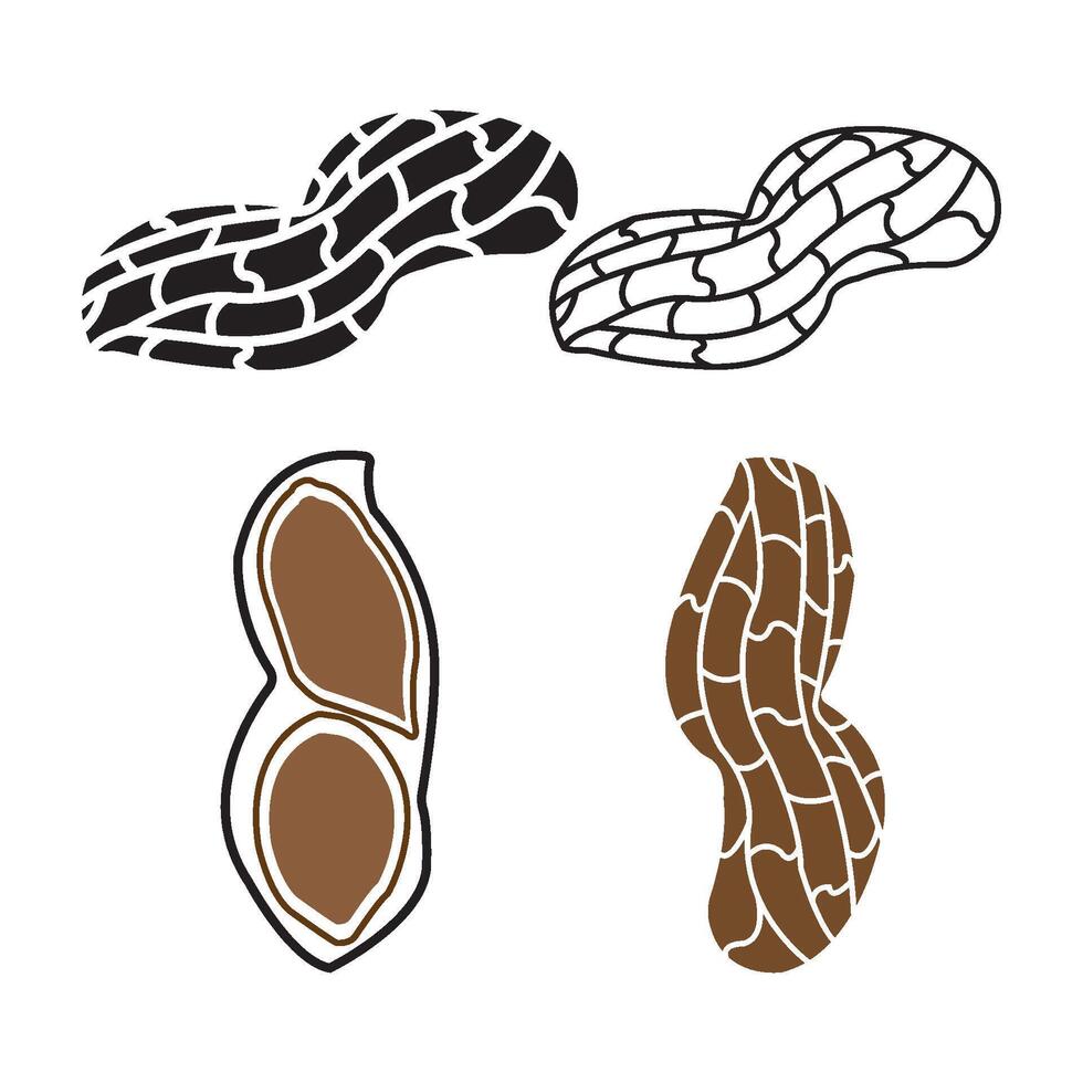 Peanut icon design vector
