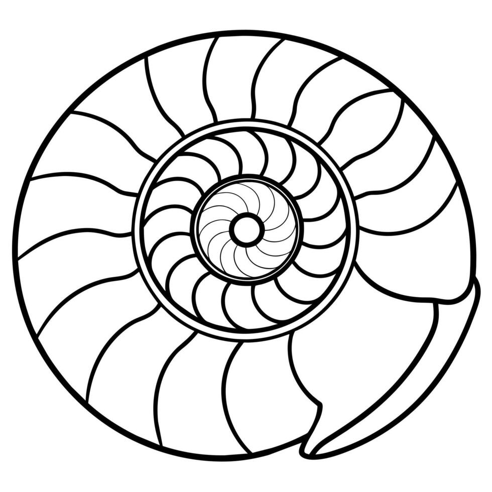 Ammonite shell sits icon illustration vector