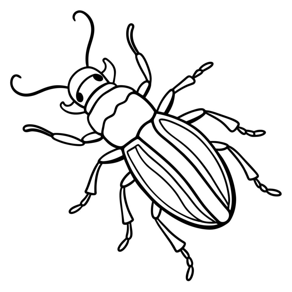 Ambrosia Beetle bug jumps icon illustration vector