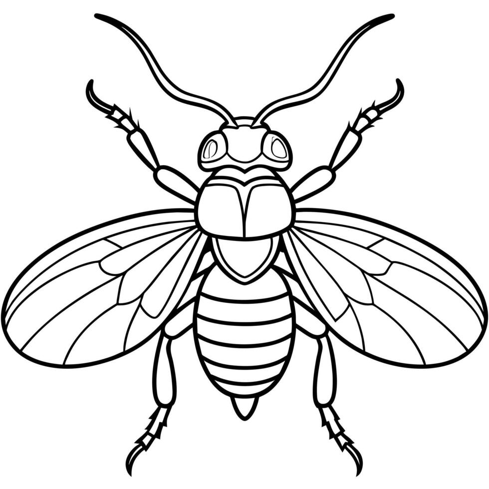 Ambrosia Beetle bug flies icon illustration vector