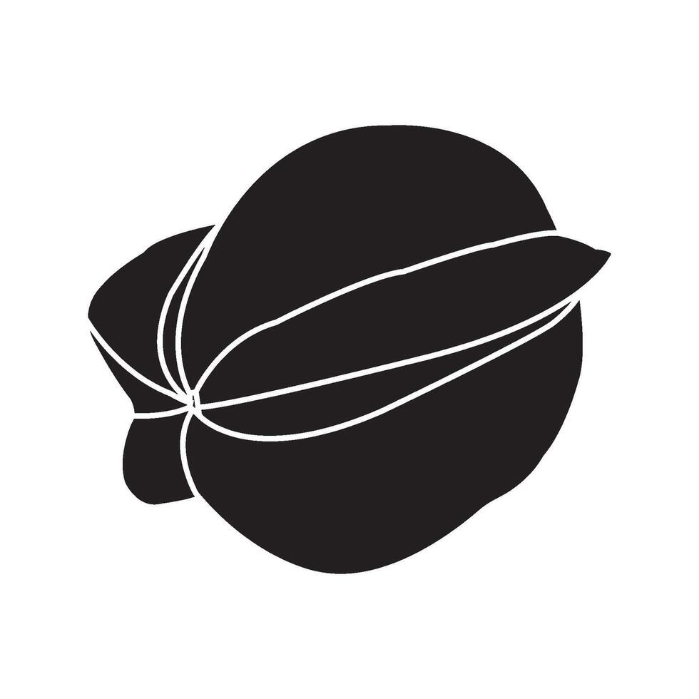 Star fruit icon vector