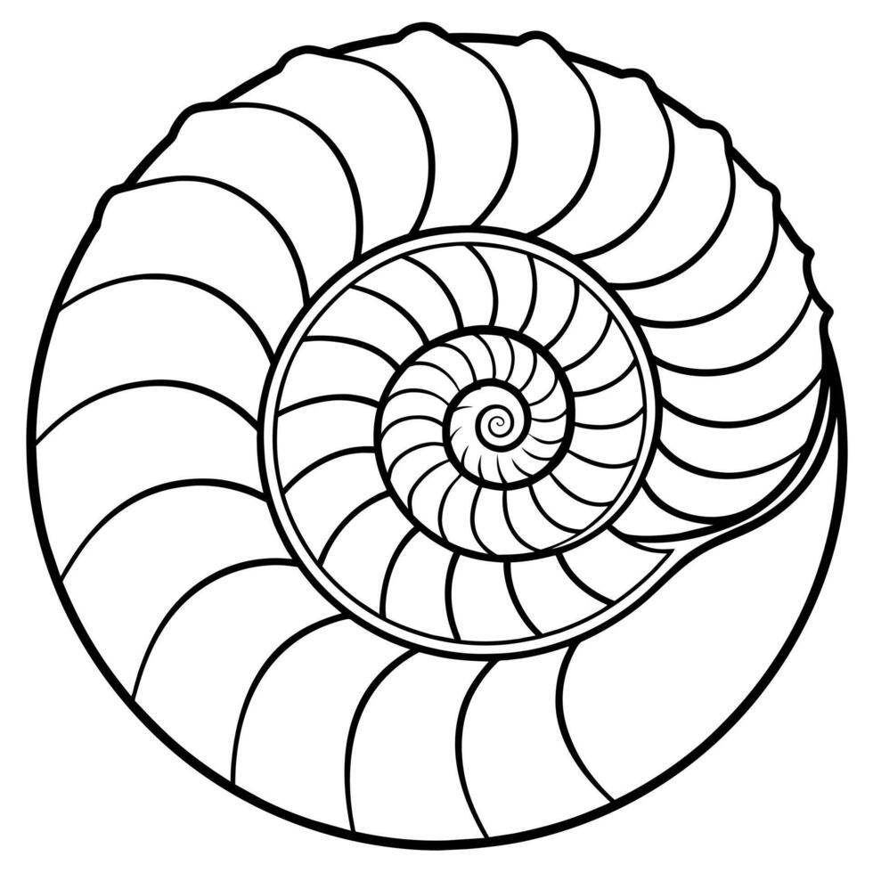 Ammonite shell stands icon illustration vector
