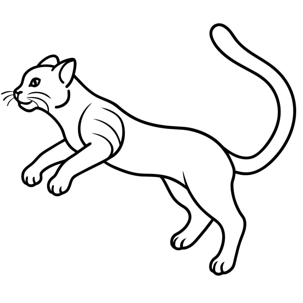 Andean Cat jumps icon illustration vector