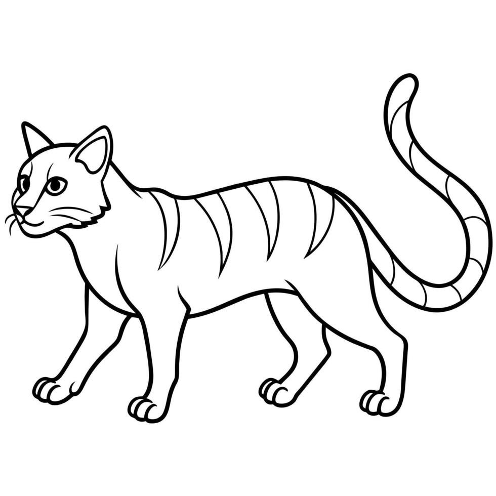 Andean Cat walks icon illustration vector