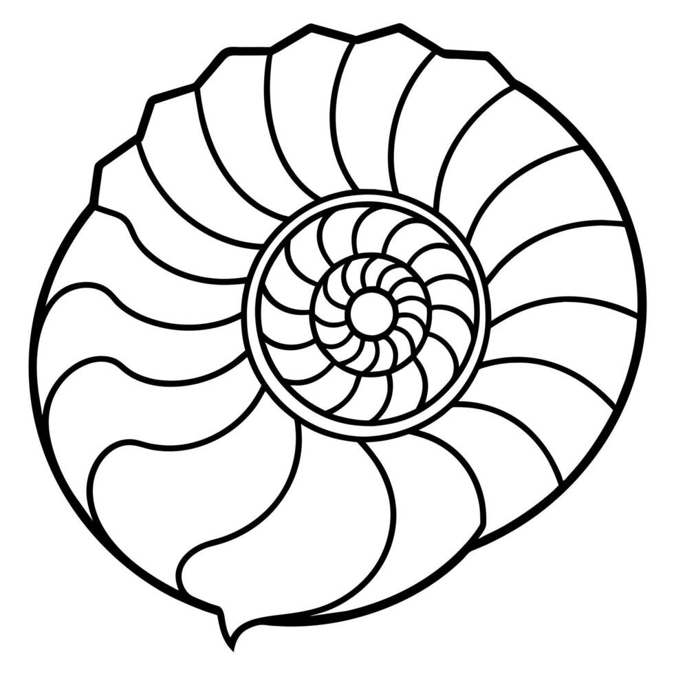 Ammonite shell sleeps icon illustration vector