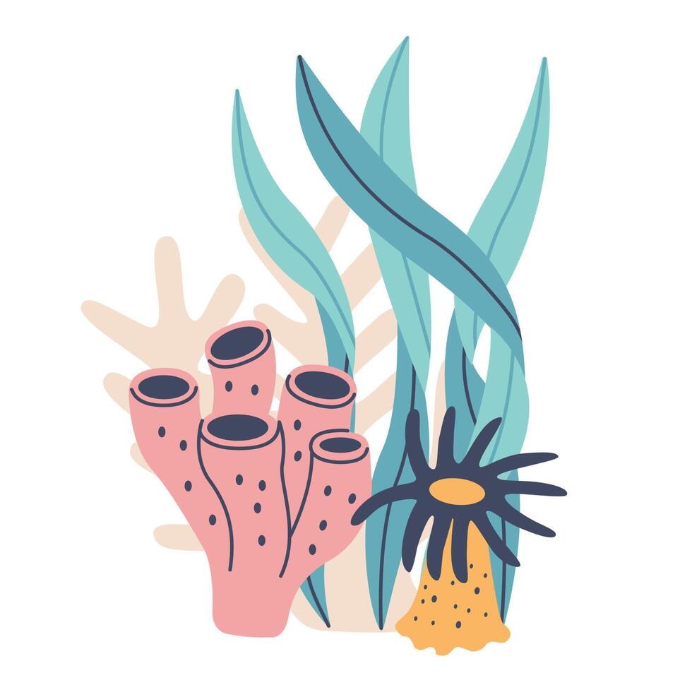Coral sea plant seaweed ocean tropical nature doodle in flat style isolated set collection. Isolated graphic design illustration vector