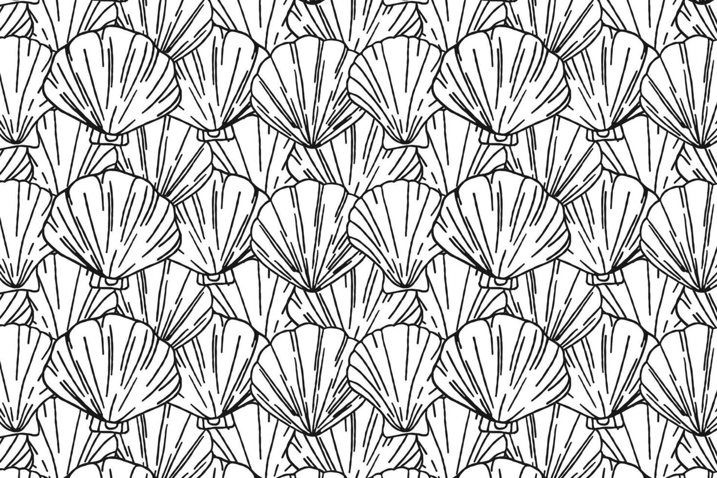 Beautiful seashell pattern on a white background, Nautical design for paper and text. graphics vector