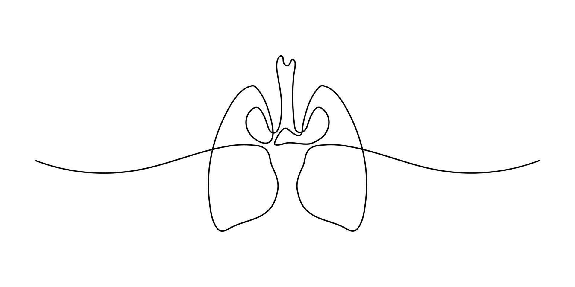 Continuous one line drawing of human organ - lungs. Minimalist lung design. Healthy person. illustration. vector