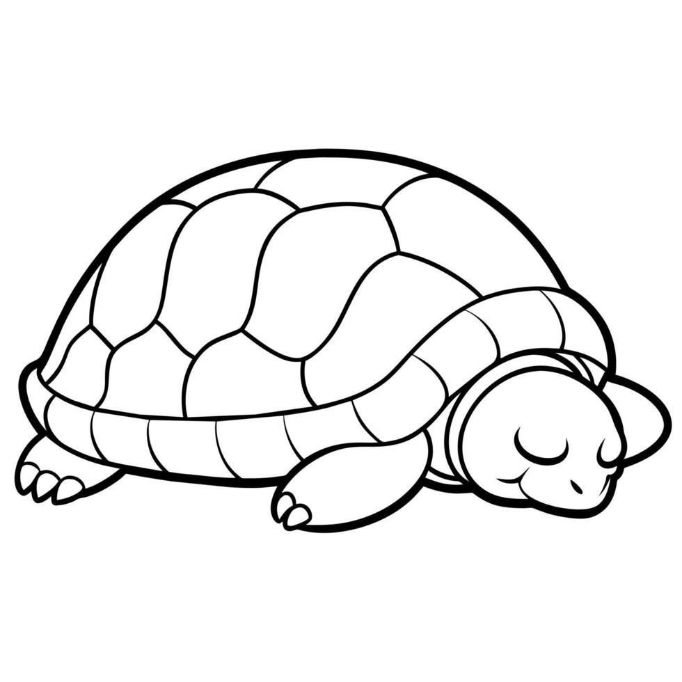 Angulate Tortoise turtle sleeps icon illustration vector
