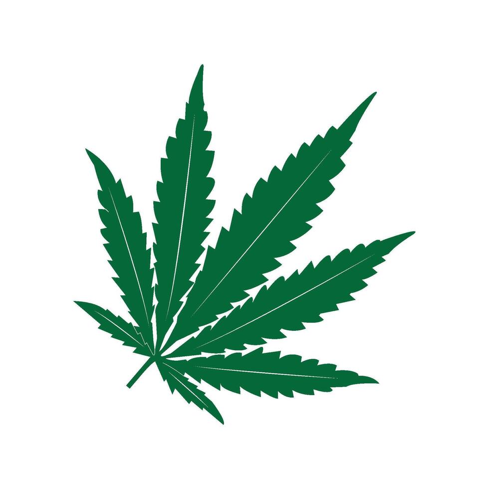 Marijuana leaf icon vector