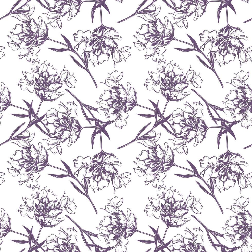 Thyme branch illustration isolated on white. Seamless floral pattern. A spicy ingredient in tea and Mediterranean cuisine. Herbs design for tea packaging, cosmetics, kitchen textiles, menu. vector