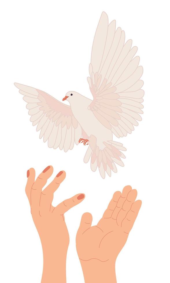 Hands with dove of peace in flat style. . The white bird flies up. The concept of hope, a sign of freedom and independence, a manifestation of the holy spirit. vector