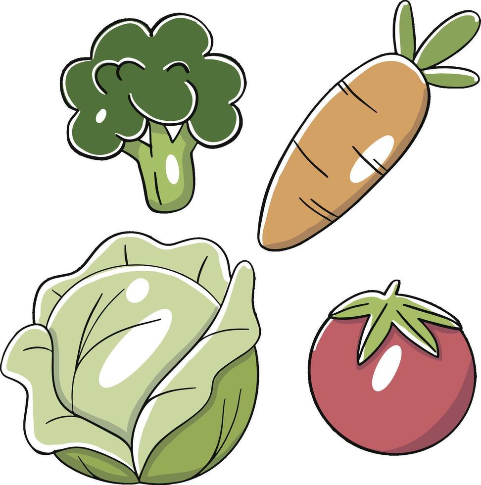 the fresh vegetable vector
