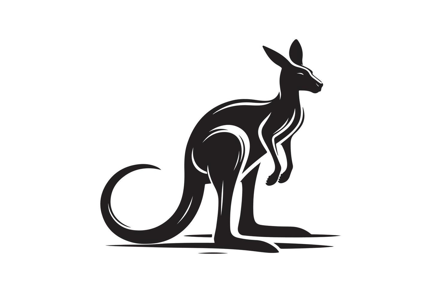 Hand drawn of kangaroo on white background. vector