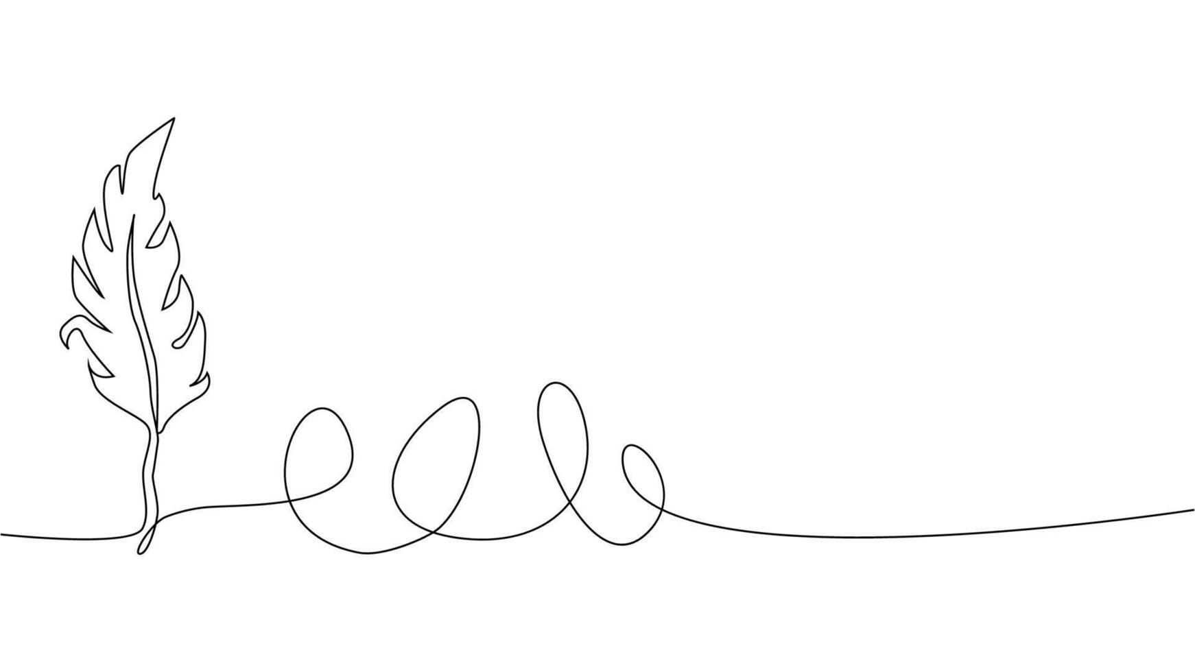 Self-drawing of continuous drawing of one line of an isolated object feather vector