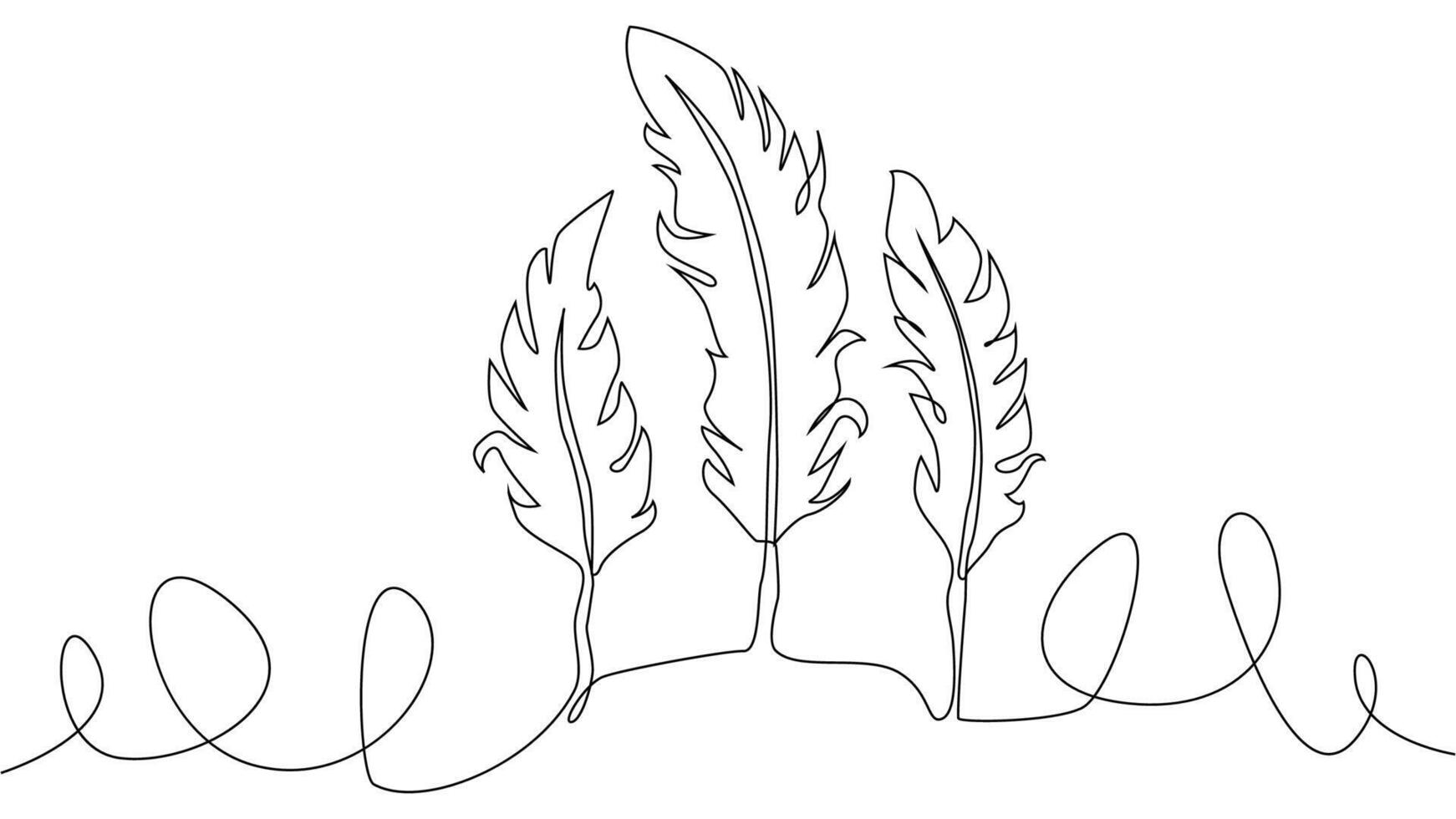 Self-drawing of continuous drawing of one line of an isolated object feather vector
