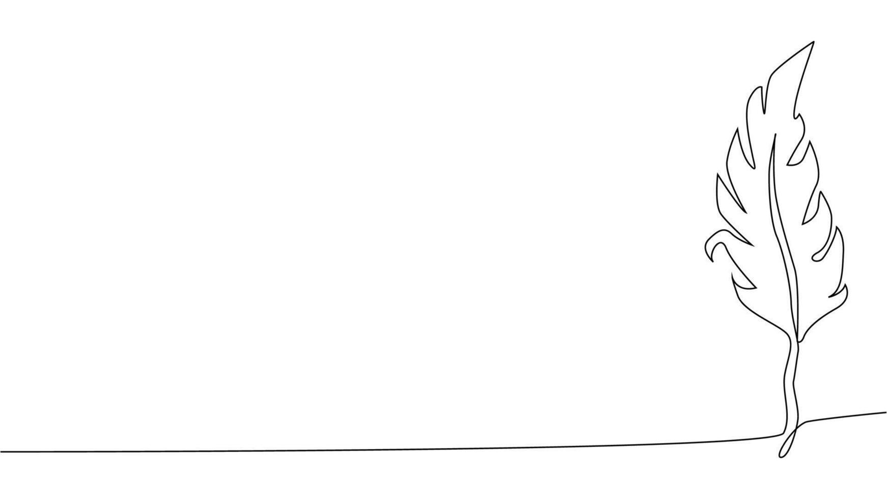 Self-drawing of continuous drawing of one line of an isolated object feather vector