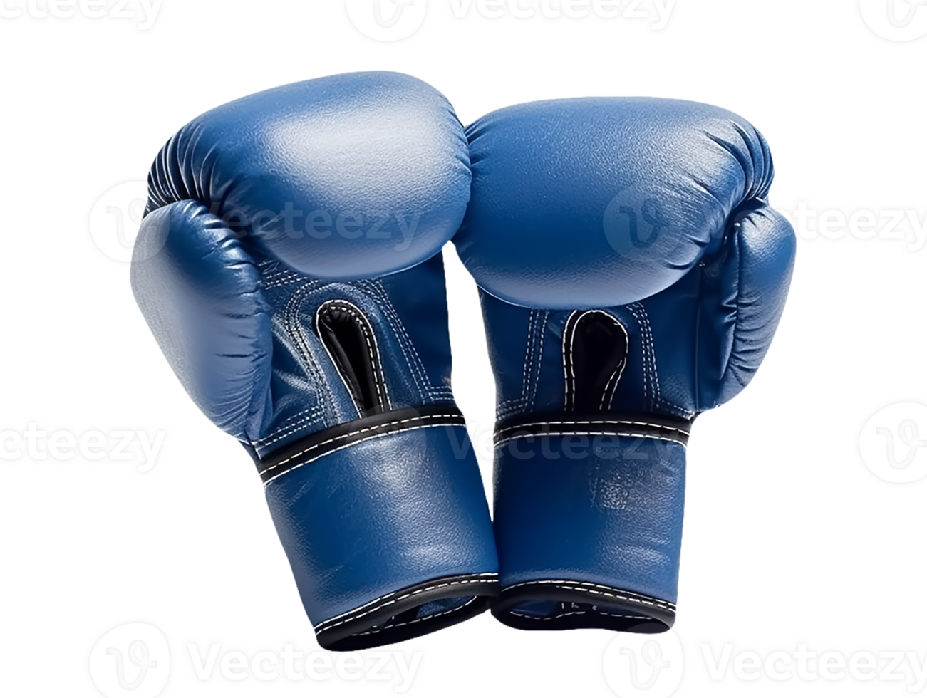 blue boxing gloves isolated png